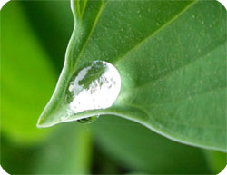 Gestión Medioambiental